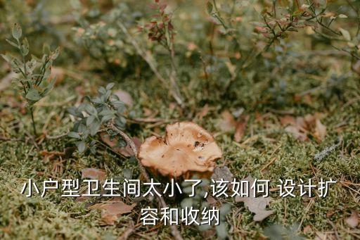 小衛(wèi)浴間設(shè)計(jì)圖片,小戶型衛(wèi)生間洗臉盆可直接設(shè)計(jì)在梳臉盆外面