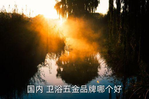 國內(nèi) 衛(wèi)浴五金品牌哪個好