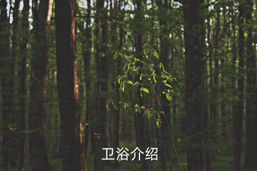  衛(wèi)浴介紹