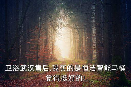 恒潔衛(wèi)浴武漢售后,我買的是恒潔智能馬桶覺得挺好的!