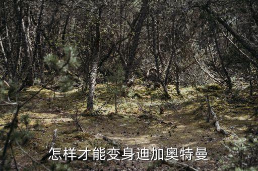 怎樣才能變身迪加奧特曼