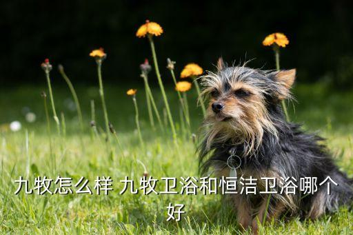 九牧怎么樣 九牧衛(wèi)浴和恒潔衛(wèi)浴哪個(gè)好