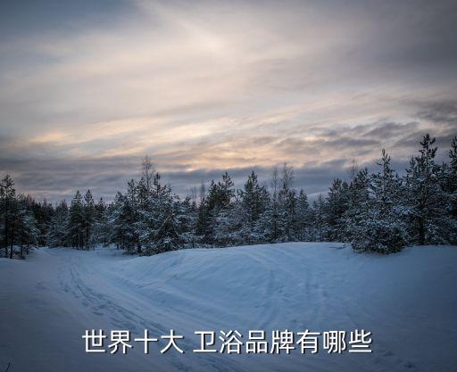 世界十大 衛(wèi)浴品牌有哪些