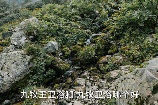  九牧王衛(wèi)浴和 九牧衛(wèi)浴哪個好