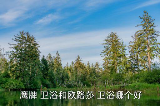 鷹牌衛(wèi)浴公司介紹,衛(wèi)生用品知多少?問與答（13）