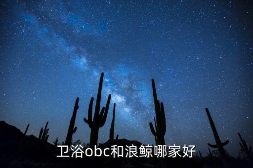 浪京衛(wèi)浴型號400,朗鯨衛(wèi)浴品質(zhì)優(yōu)良產(chǎn)品齊全售后完善