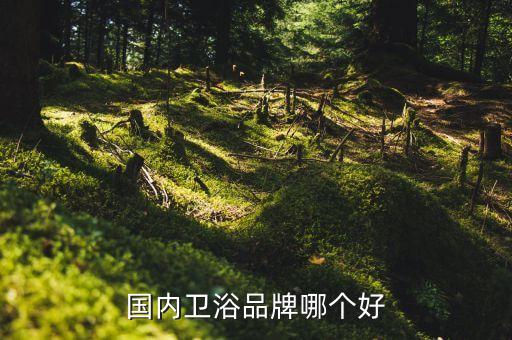 國內(nèi)衛(wèi)浴品牌哪個好