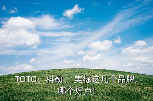 美標(biāo)衛(wèi)浴零件購(gòu)買,衛(wèi)生清洗劑知多少?問與答（20）