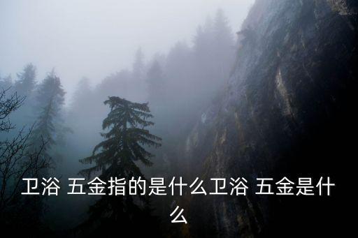 衛(wèi)浴 五金指的是什么衛(wèi)浴 五金是什么