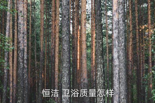  恒潔 衛(wèi)浴質(zhì)量怎樣