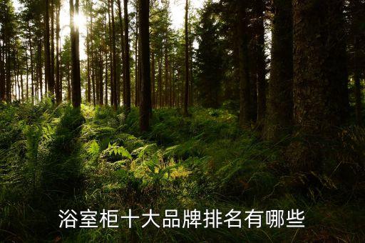浴室柜十大品牌排名有哪些