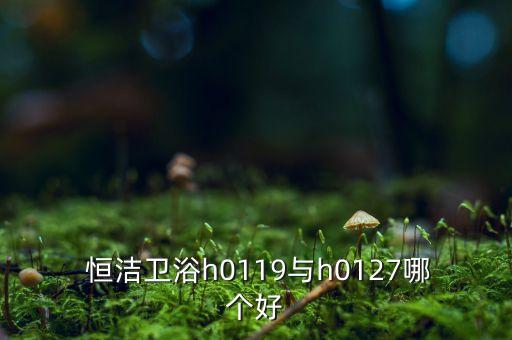  恒潔衛(wèi)浴h0119與h0127哪個(gè)好