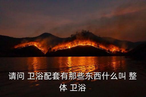 cd1014現(xiàn)代整體衛(wèi)浴,十大衛(wèi)浴品牌整體衛(wèi)浴房間一應(yīng)俱全