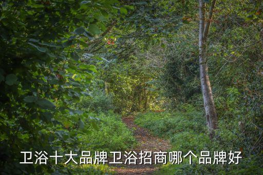 浪鯨衛(wèi)浴如何加盟,符合市場質(zhì)量要求才絕對不會流入市場