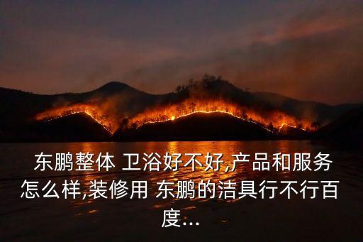豐城東鵬衛(wèi)浴,東鵬全莊衛(wèi)浴的硬件質(zhì)量讓人放心