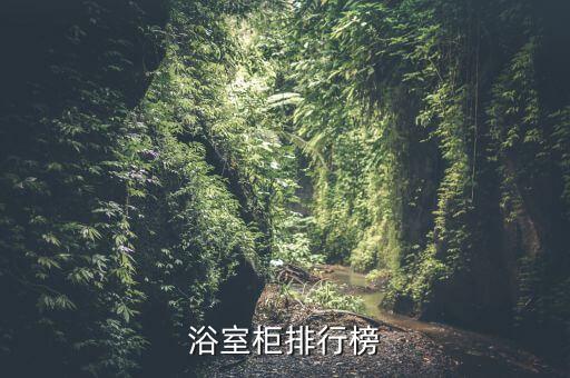 obc衛(wèi)浴,朗鯨衛(wèi)浴:只有符合市場質(zhì)量要求才能進(jìn)入市場