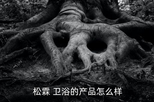 松霖衛(wèi)浴待遇PK,廈門松霖集團(tuán)已在全球擁有逾十家子公司