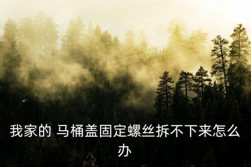 鷹衛(wèi)浴馬桶蓋拆不下來,如何更換馬桶蓋?