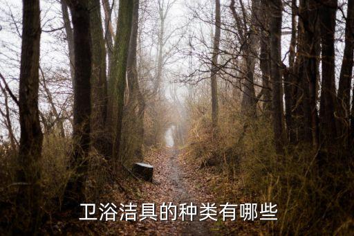  衛(wèi)浴潔具的種類有哪些