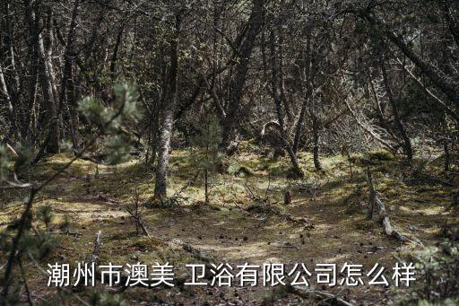 潮州衛(wèi)浴企業(yè)有哪些,潮州石奧美衛(wèi)浴股份有限公司在廣東省注冊