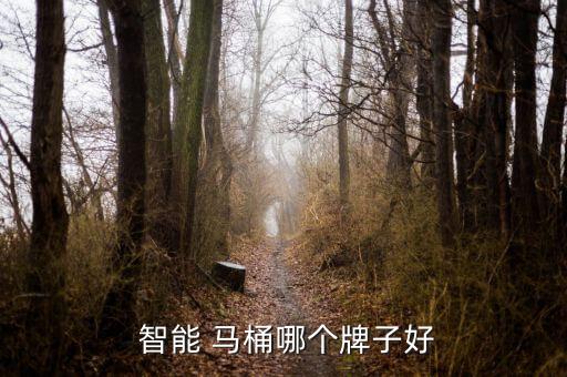 美標衛(wèi)浴智能馬桶2010,我的家智能馬桶比其他品牌好