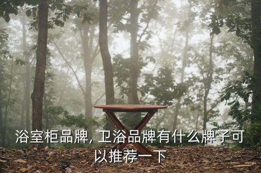 浴室柜品牌, 衛(wèi)浴品牌有什么牌子可以推薦一下
