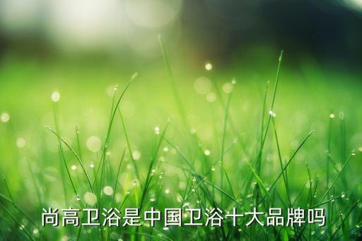  尚高衛(wèi)浴是中國衛(wèi)浴十大品牌嗎
