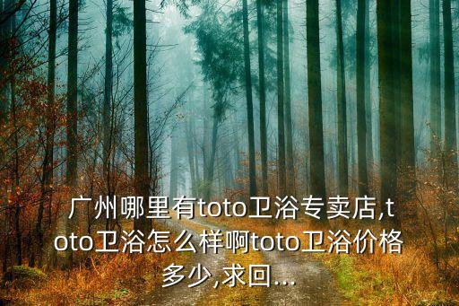 廣州 買衛(wèi)浴,廣州toto衛(wèi)浴質(zhì)量排到世界前十