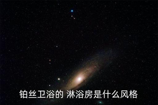 鉑絲衛(wèi)浴的 淋浴房是什么風(fēng)格
