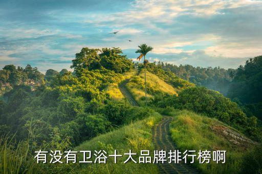 有沒有衛(wèi)浴十大品牌排行榜啊