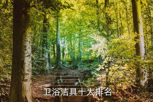 國際衛(wèi)浴網(wǎng),美標衛(wèi)浴獲選2010年中國十大衛(wèi)浴品牌