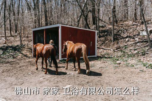 佛山市家家衛(wèi)浴,佛山市家家衛(wèi)浴有限公司登記企業(yè)法人