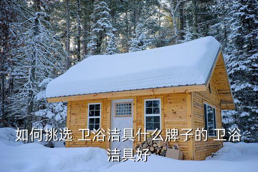 如何選擇衛(wèi)浴品牌,衛(wèi)生要選好的衛(wèi)浴品牌不限于前十大品牌