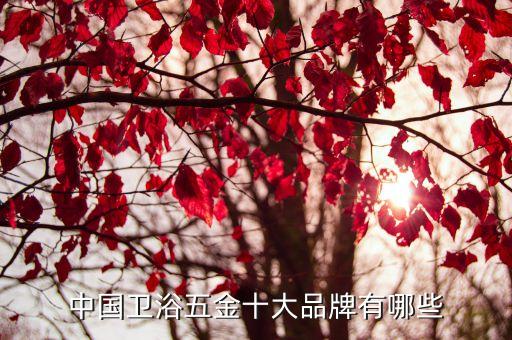 中國(guó)衛(wèi)浴五金十大品牌有哪些