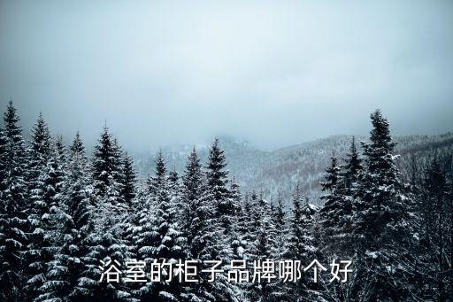浴室的柜子品牌哪個(gè)好