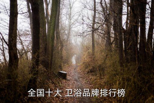 全國十大 衛(wèi)浴品牌排行榜