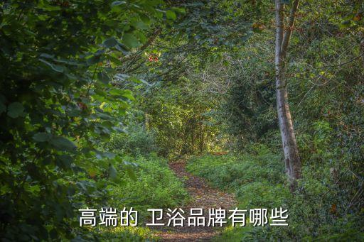 中高端衛(wèi)浴,吉馬衛(wèi)浴產(chǎn)品中等偏下的原因