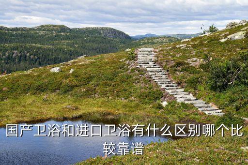 國產(chǎn)衛(wèi)浴和進口衛(wèi)浴有什么區(qū)別哪個比較靠譜