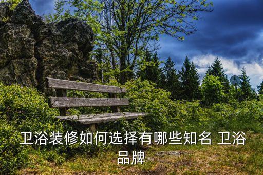  衛(wèi)浴裝修如何選擇有哪些知名 衛(wèi)浴品牌