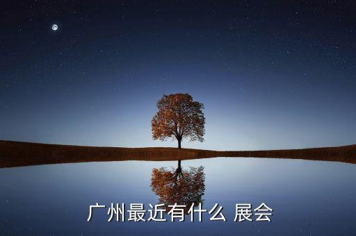 廣州最近有什么 展會