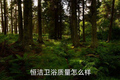  恒潔衛(wèi)浴質(zhì)量怎么樣
