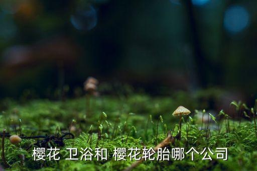  櫻花 衛(wèi)浴和 櫻花輪胎哪個公司