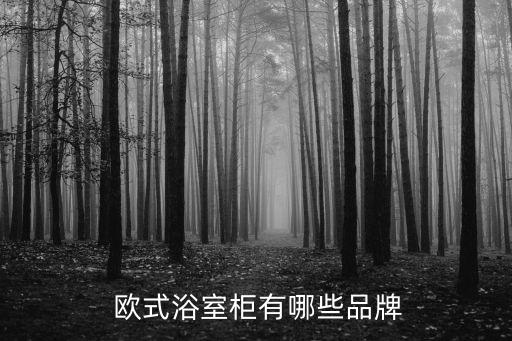 歐式風(fēng)格衛(wèi)浴品牌,中國十大衛(wèi)浴品牌排行榜:科勒排名第二