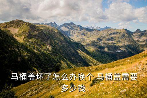  馬桶蓋壞了怎么辦換個(gè) 馬桶蓋需要多少錢