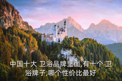 中國十大 衛(wèi)浴品牌里面,有十個 衛(wèi)浴牌子,哪個性價比最好