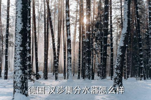  德國 漢莎集分水器怎么樣