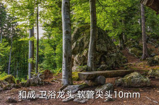 和成 衛(wèi)浴龍頭 軟管尖頭10mm