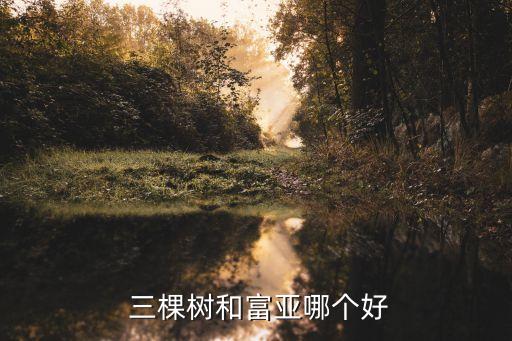  三棵樹和富亞哪個好
