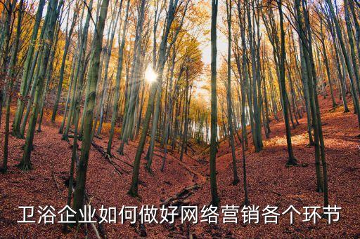 衛(wèi)浴店開業(yè) 成功促銷,網(wǎng)絡(luò)營銷可采用多種手段進行