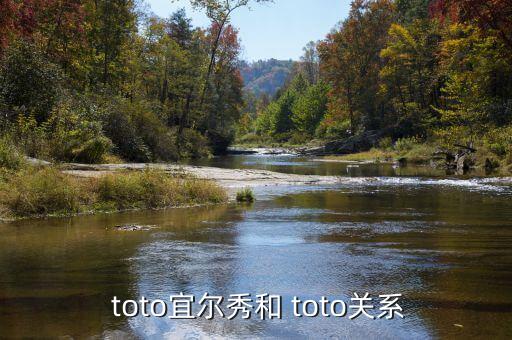  toto宜爾秀和 toto關(guān)系